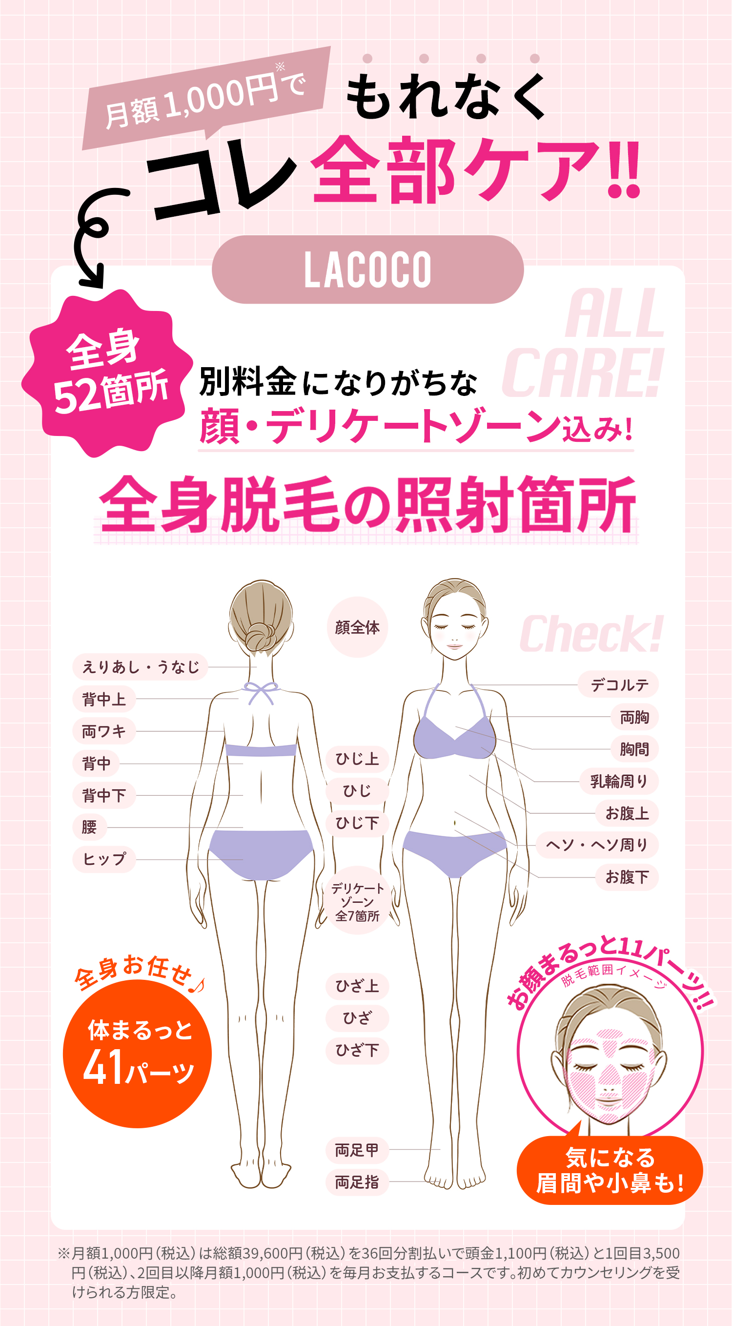 全身脱毛の照射箇所